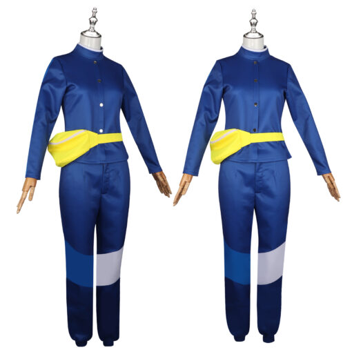 Pokemon Carmine Cosplay Costume