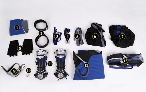 Mortal Kombat Mythologies: Sub-Zero Cosplay Costume