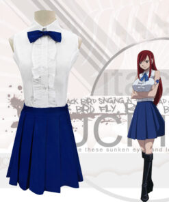 Fairy Tail Erza Scarlet Cosplay Costume