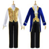 Beauty and the Beast Prince Cosplay Costume