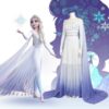 Frozen Elsa Princess Dress Cosplay Costume