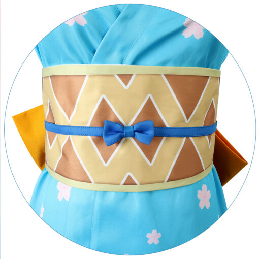 One Piece Nami Cosplay Costume