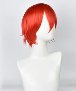 Cells at Work Red Blood Cell Cosplay Wig