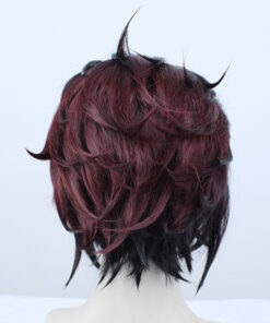 Demon Slayer Kamado Tanjirou Cosplay Wig