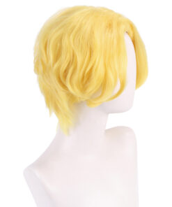 One Piece Flame Emperor Sabo Cosplay Wig