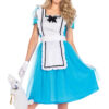 Alice: Madness Returns Maid Outfit Dress Cosplay Costume