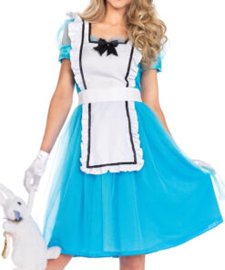 Alice: Madness Returns Maid Outfit Dress Cosplay Costume