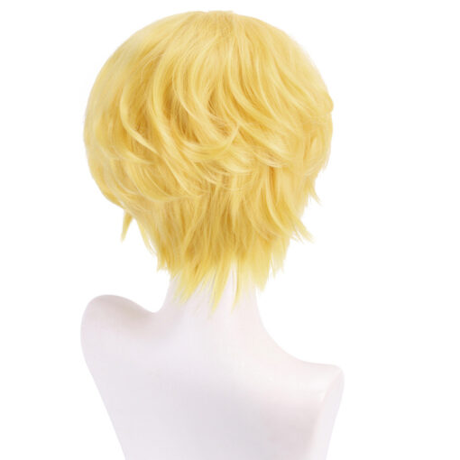 One Piece Flame Emperor Sabo Cosplay Wig