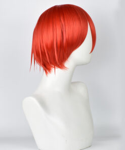 Cells at Work Red Blood Cell Cosplay Wig