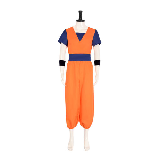 Dragon Ball Son Gohan Cosplay Costume