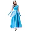 Sleeping Beauty Princess Aurora Sky Blue Dress Cosplay Costume