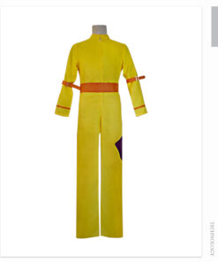 Avatar The Last Airbender Aang Cosplay Costume