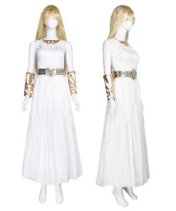 The Legend of Zelda Dress Cosplay Costume