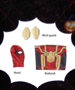 The Avengers Spider-Man Cosplay Costume