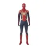 The Avengers Spider-Man Cosplay Costume