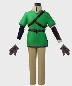 The Legend of Zelda Skyward Sword Link Cosplay Costume