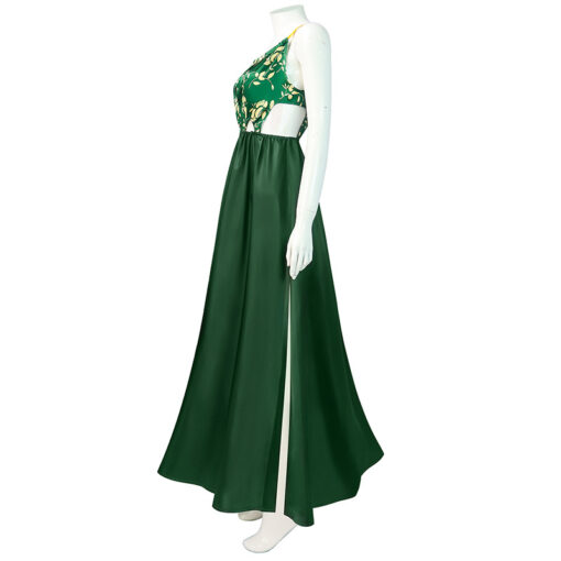 Shrek Princess Fiona Dress Cosplay Costume